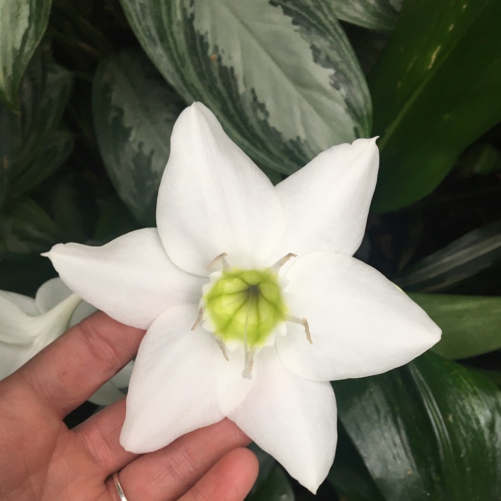 Meet your Posher, Max